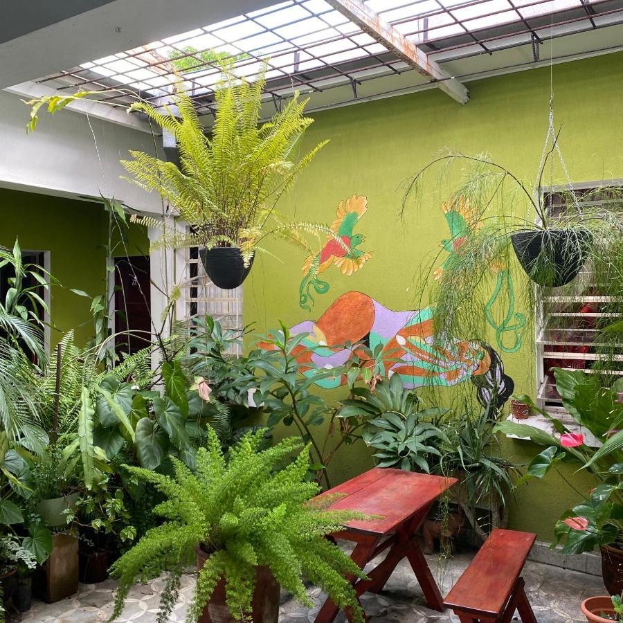 Hostal Cumbres Del Volcan Flor Blanca ซานซัลวาดอร์ ภายนอก รูปภาพ